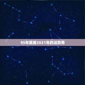 95年属猪2021年的运势男，95年生肖猪2021年运势