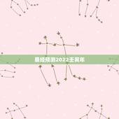 易经预测2022壬寅年，2022年壬寅年解读