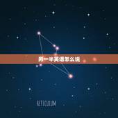 另一半英语怎么说，另一半用英文怎么写