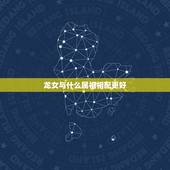 龙女与什么属相相配更好，属龙和什么属相相冲