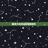 属兔今年财运和婚姻如何，我今年53岁属兔的今年我的运气怎么样请问