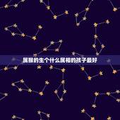 属猴的生个什么属相的孩子最好，属羊的什么时辰出生最好