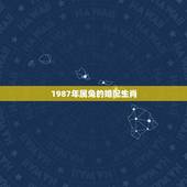 1987年属兔的婚配生肖，1987年属兔的婚配