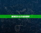 属兔在什么行业发展好，75年属兔人47岁后运程