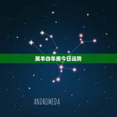 属羊白羊座今日运势，2008年属羊白羊座运程1991年4月11日的