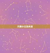 只要小三功夫深，只有不努力的小三，没有挖不到的墙角是什么意思