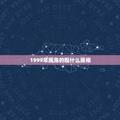 1999年属兔的配什么属相，99年属兔的和什么属相最配