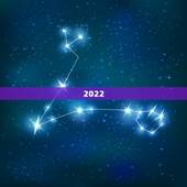2022 年属羊的虚岁多大，1967年属羊的今年多少岁
