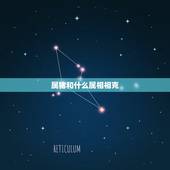 属猪和什么属相相克，属猪的跟什么属相犯冲