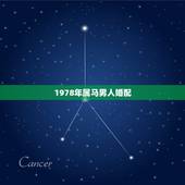 1978年属马男人婚配，78年属马的男与88年属龙的女配吗？