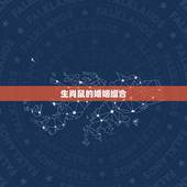 生肖鼠的婚姻组合，生肖鼠婚姻配对