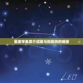 属马的跟属狗的相配吗(介绍属马和属狗的姻缘)