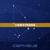 54年属马今年会死吗，54年的今年多大了