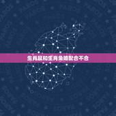 生肖鼠和生肖兔婚配合不合，属兔和属鼠合不合