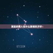 属鼠的男人生什么属相孩子好，女属鼠，男属虎，生什么属相好呢？