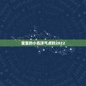宝宝的小名洋气点的2022，宝宝小名大全2022属