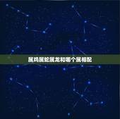 属鸡属蛇属龙和哪个属相配，属鸡和什么属相最配_与鸡最投缘的是龙，其次就