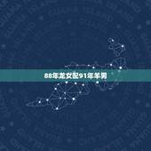 88年龙女配91年羊男，男属羊和女属龙相冲吗