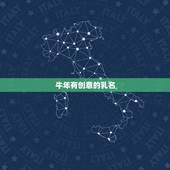 牛年有创意的乳名，2022 年宝宝乳名大全男孩