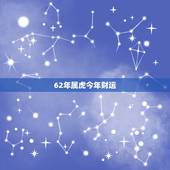 62年属虎今年财运 虎今年财运好不好