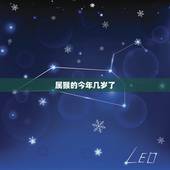 属猴的今年几岁了，属鼠的今年几岁