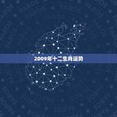 2009年十二生肖运势，属马的2009年运气