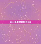 2021出生男宝宝姓名大全，2021年男宝宝起名字大全寓意好