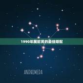 1990年属蛇男的最佳婚配，1990年属马的人婚配于属蛇的配吗