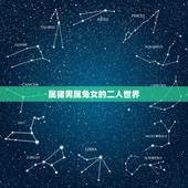 属猪男属兔女的二人世界，属猪的今年多大了2022