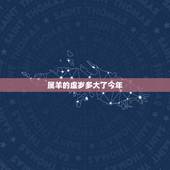 属羊的虚岁多大了今年，79年属羊42岁有个劫
