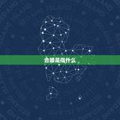 合婚是指什么，两个人合婚是什么意思呢？