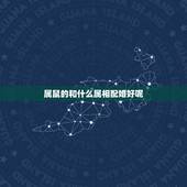 属鼠的和什么属相配婚好呢，属鼠和属鼠的婚配好吗