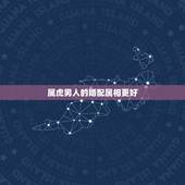 属虎男人的婚配属相更好，属狗男和属牛女的婚配好不好