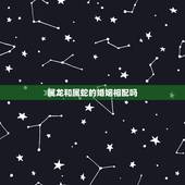 属龙和属蛇的婚姻相配吗，属猪和属蛇的婚姻相配