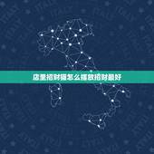 店里招财猫怎么摆放招财最好，招财猫放在店里什么位置，招财猫放店铺什么讲