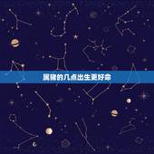 属猪的几点出生更好命，属猪的几点出生有福气