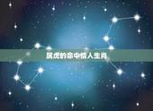 属虎的命中情人生肖，虎女命中注定的婚姻