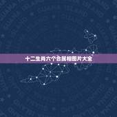 十二生肖六个合属相图片大全，三合和六个合生肖是什么意思