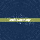 虎宝宝和什么属相的父母好，爸爸属虎儿子属狗