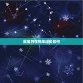 属兔的在狗年运势如何，2011属兔运势如何
