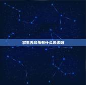 家里养乌龟有什么忌讳吗，家里养乌龟好吗风水说