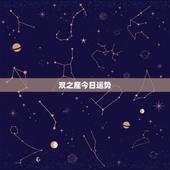 双之座今日运势，双子座2012年运势