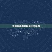 东邪西毒梅超风是什么属相，东邪西毒梅超风能注解成什么动物