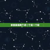 家里属相两个虎一个龙一个蛇，一家三口，一个属蛇，一个属龙，一个属虎，老