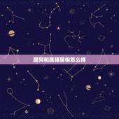 属狗和属猪属相怎么样，属猪的能否和属狗的生活？