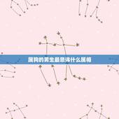 属狗的男生最忌讳什么属相，属狗与什么属相相克