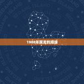 1988年属龙的姻缘，88龙92猴婚配为大忌