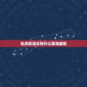 生肖蛇适合和什么属相最配，属蛇和什么属相最配