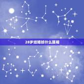 28岁结婚妨什么属相，今年28岁，是什么属相？
