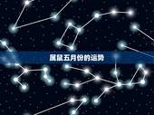 属鼠五月份的运势，属鼠人2021年每月运势运程每月